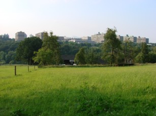 Ersatzphoto