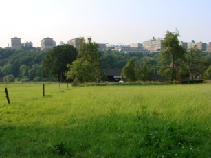 Ersatzphoto