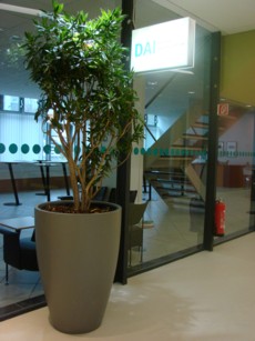 Ersatzphoto