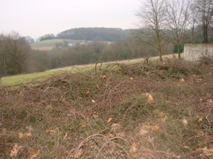 Ersatzphoto